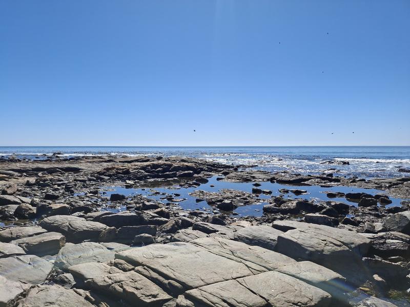0 Bedroom Property for Sale in Sandy Point Western Cape